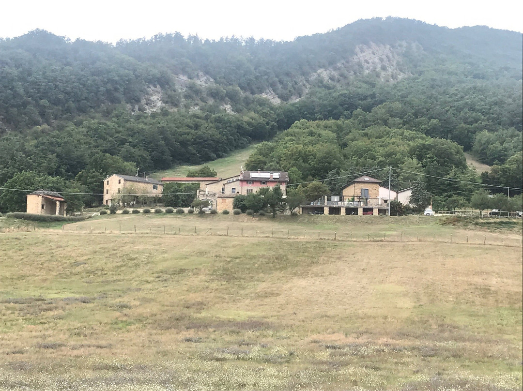 Agriturismo Tenuta Ca Di Bertucci主图