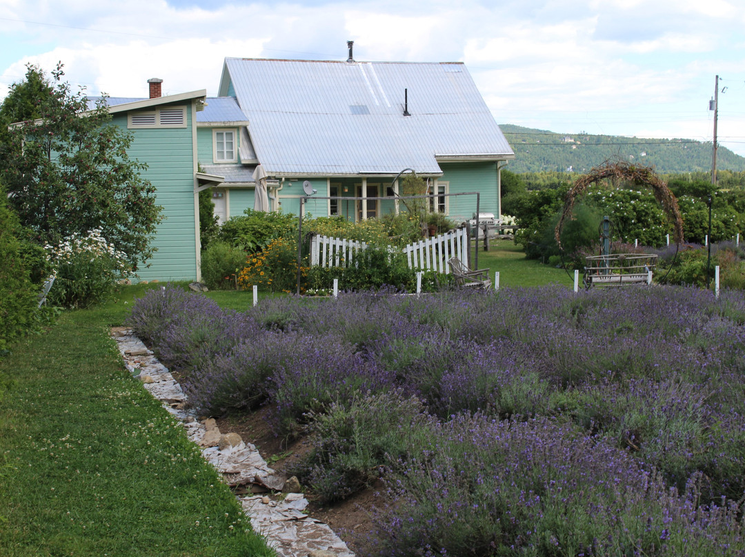 Lavande Azulée-Baie-St-Paul必去景点