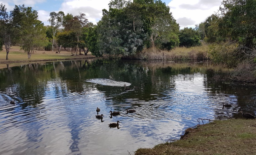Mareeba Tropical Savannah and Wetland Reserve-马里巴必去景点