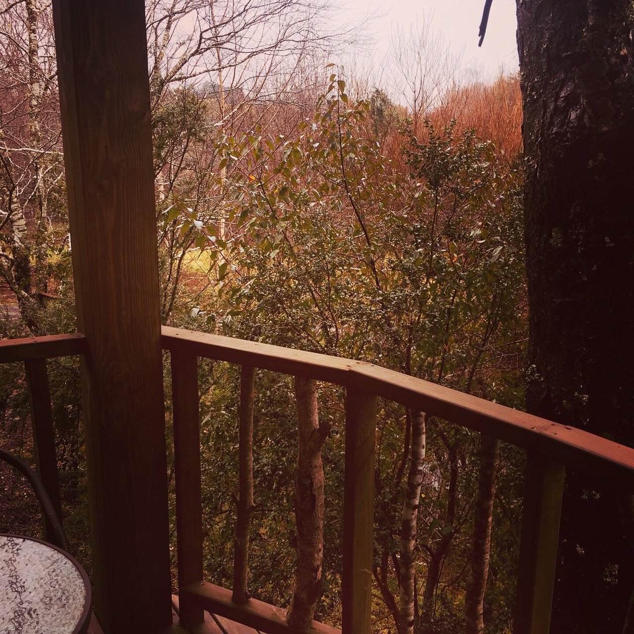 ELEMENTOS Eco Lodge-酒店景观