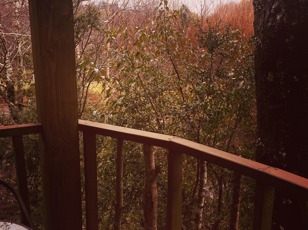 ELEMENTOS Eco Lodge主图