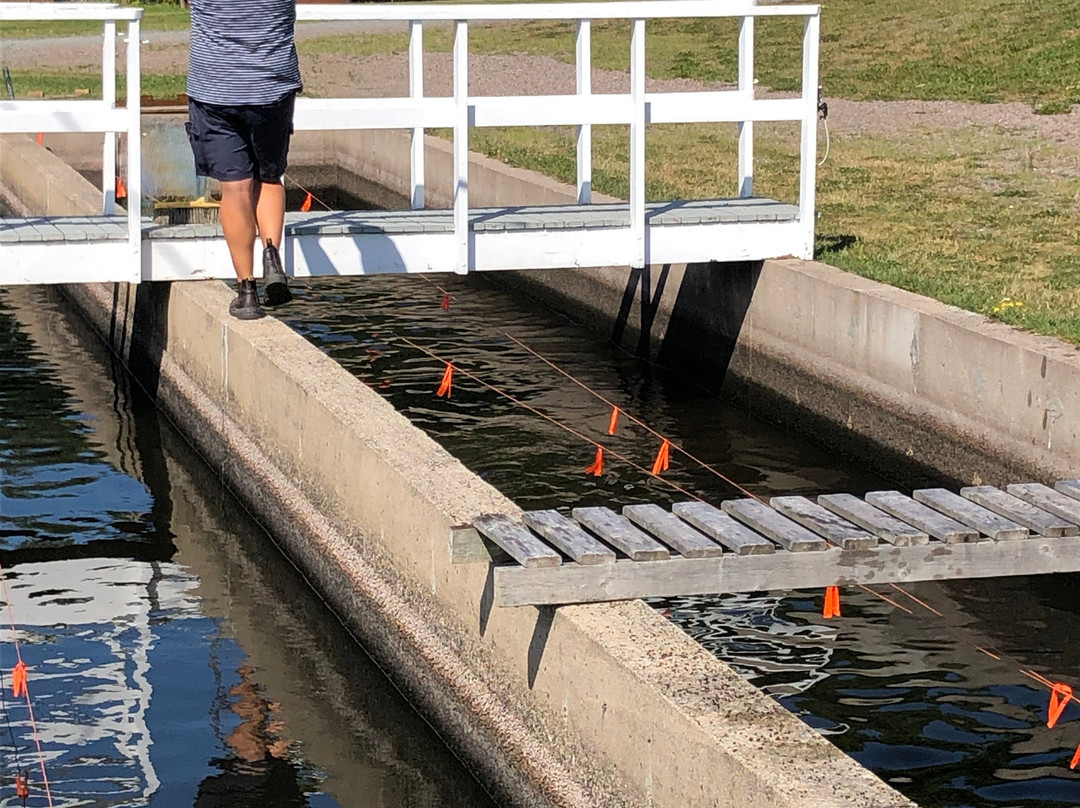 Fraser's Mills Fish Hatchery-安蒂岗尼希必去景点