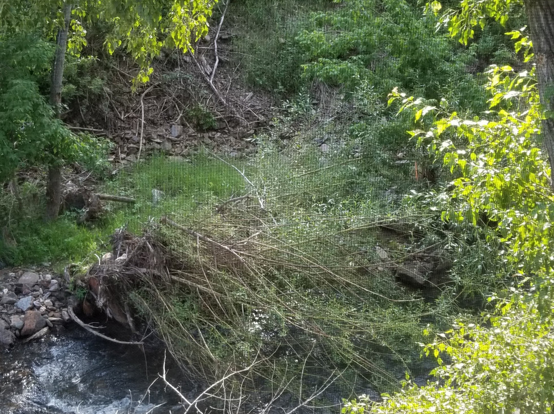 Super 8 by Wyndham Deadwood/Black Hills Area主图