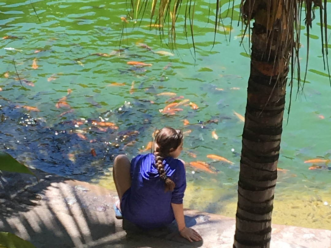 Mariposario Zhaveta Yard-拉梅尔塞必去景点