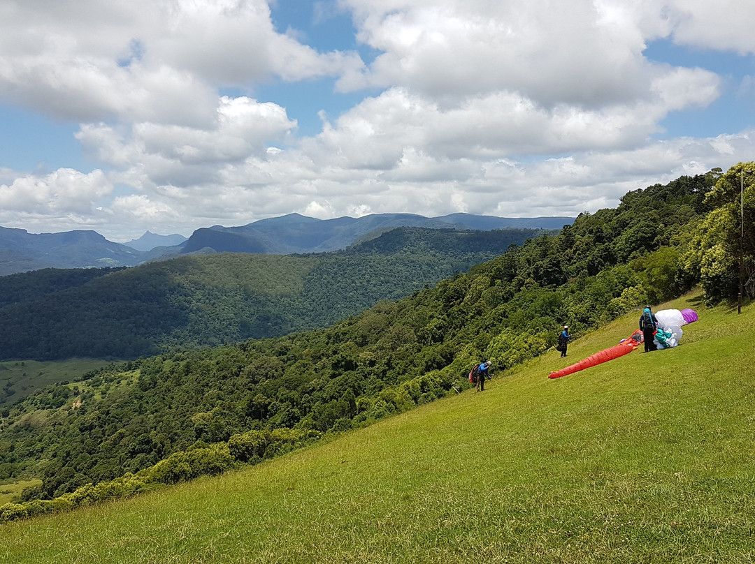 Rosins Lookout Conservation Park景点图片