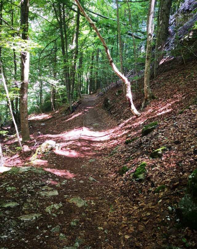 Hinking and day trips at the foot of Mount Olympus-Paralia Skotinis必去景点