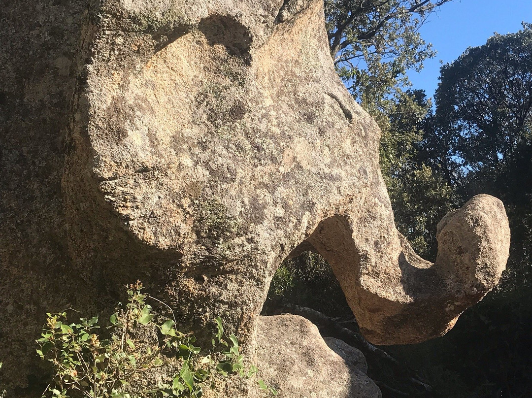Sentier du Patrimoine景点图片