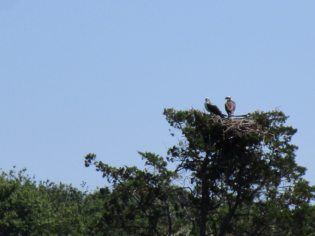 WMHO Educational and Cultural Center-Stony Brook必去景点