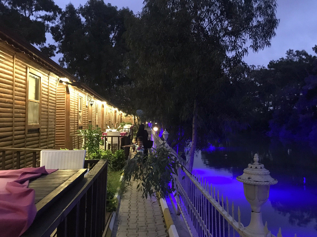 Lemon Park House主图