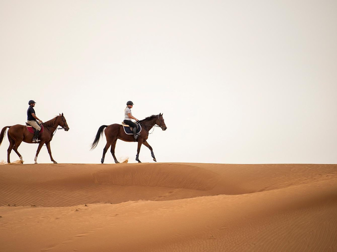 Equestrian Center at Al Wadi Desert-哈伊马角必去景点