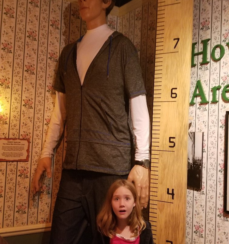 Ripley's Believe it or Not!景点图片