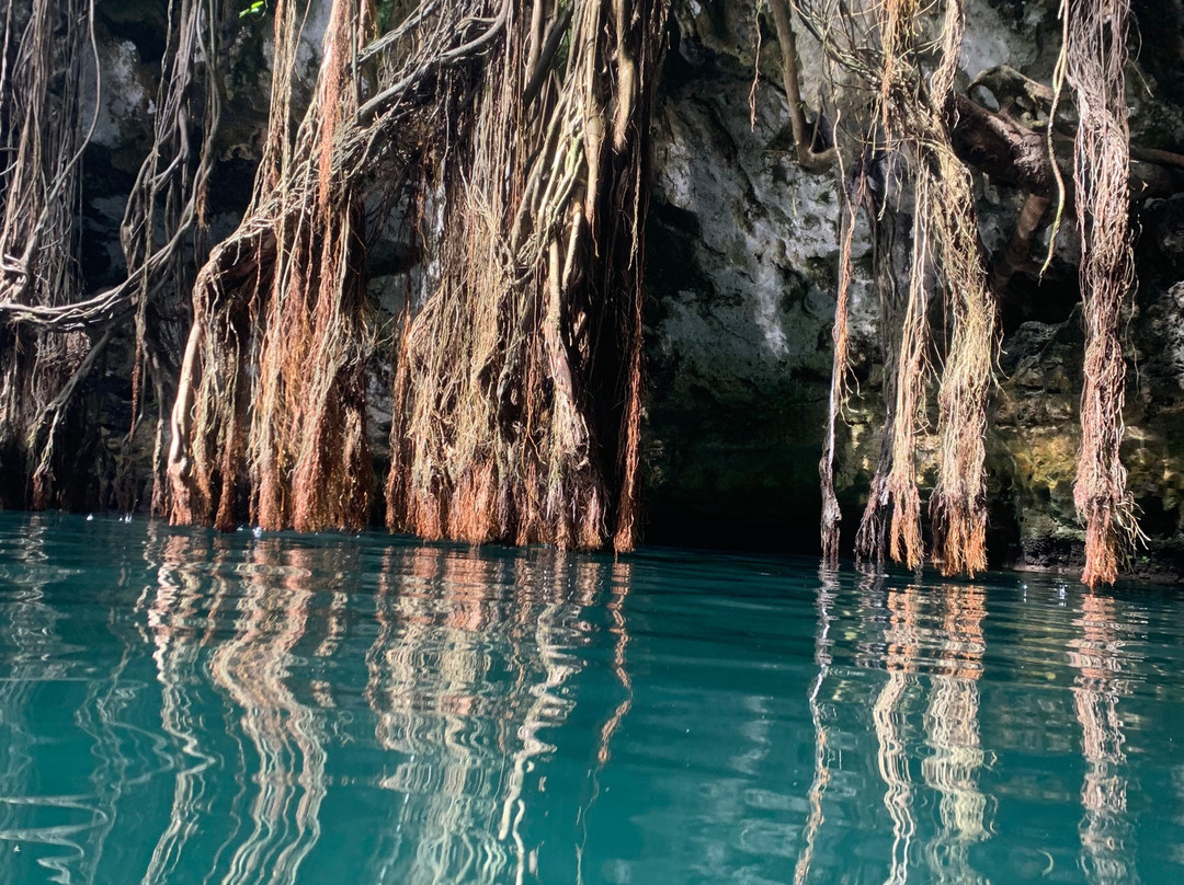 Cenote Yokdzonot-Yokdzonot必去景点