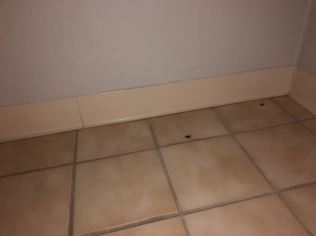 Days Inn by Wyndham Hays主图