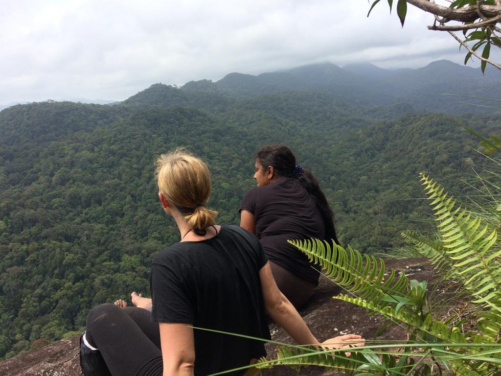 Explore Sinharaja Rain Forest Tour-Deniyaya必去景点