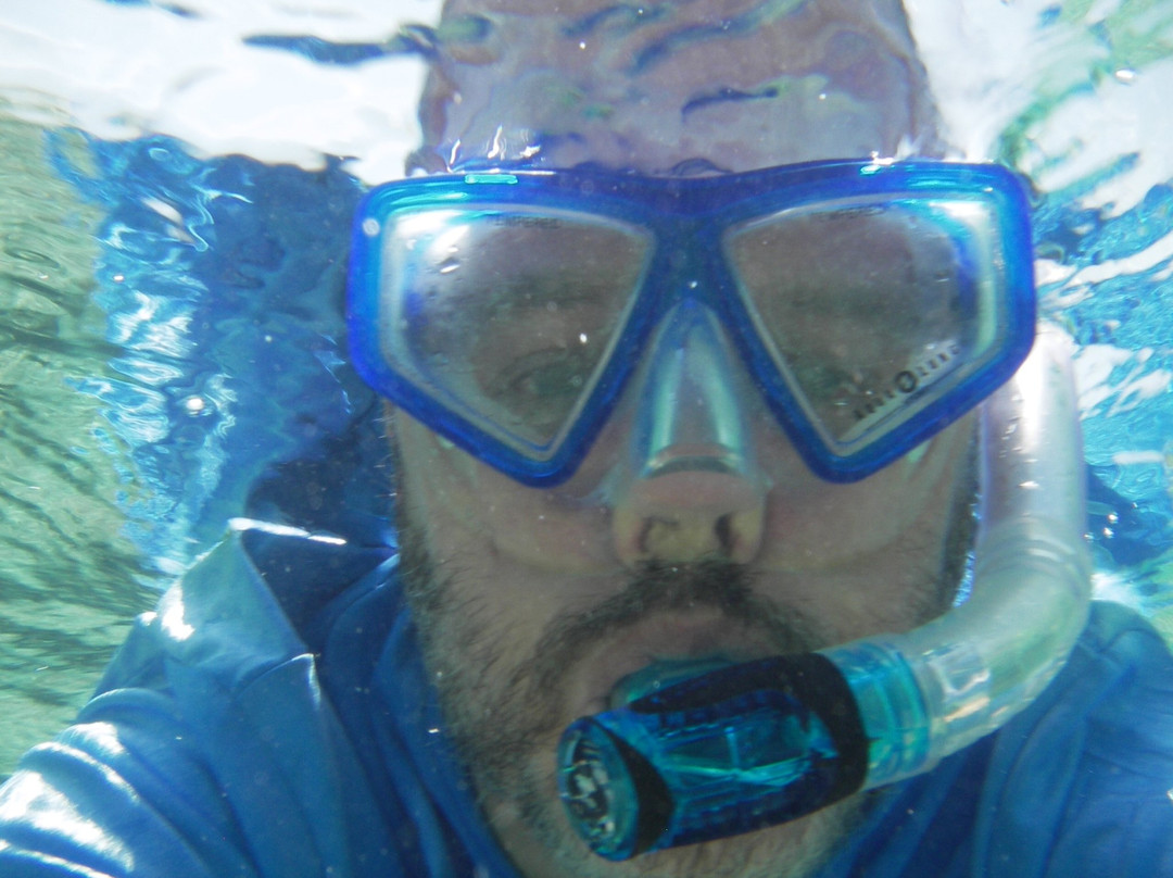 Hippocampe plongee-Mamoudzou必去景点