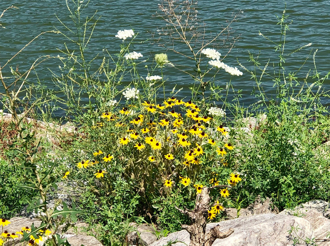 Centennial Park景点图片