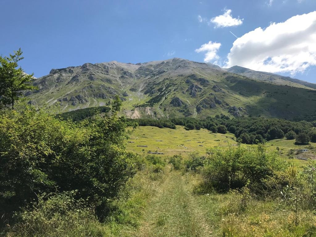 Agriturismo Pietrantica主图