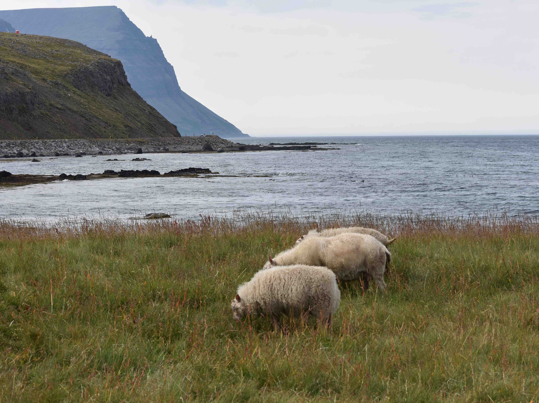 Isafjordur Guide景点图片