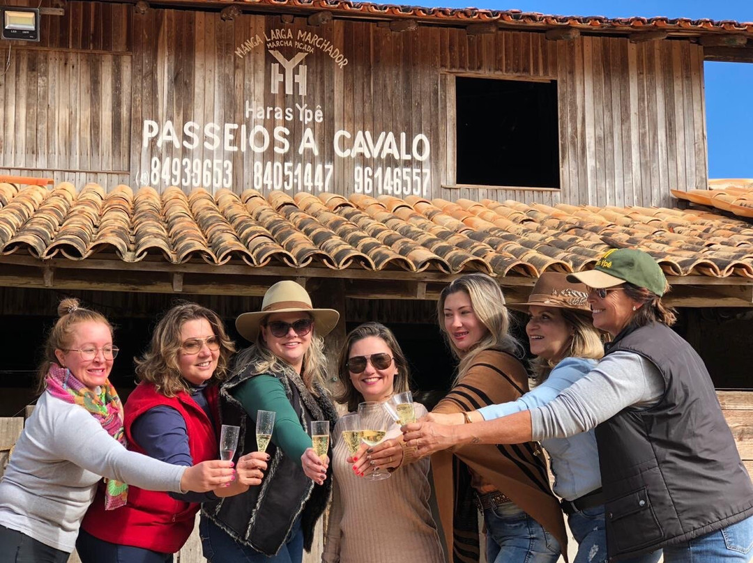 Haras Ypê Turismo Equestre-弗洛里亚诺波利斯必去景点