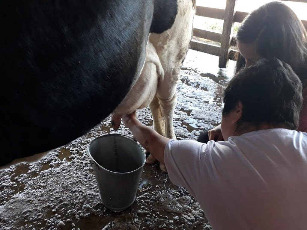 Hotel Fazenda Vista Alegre主图