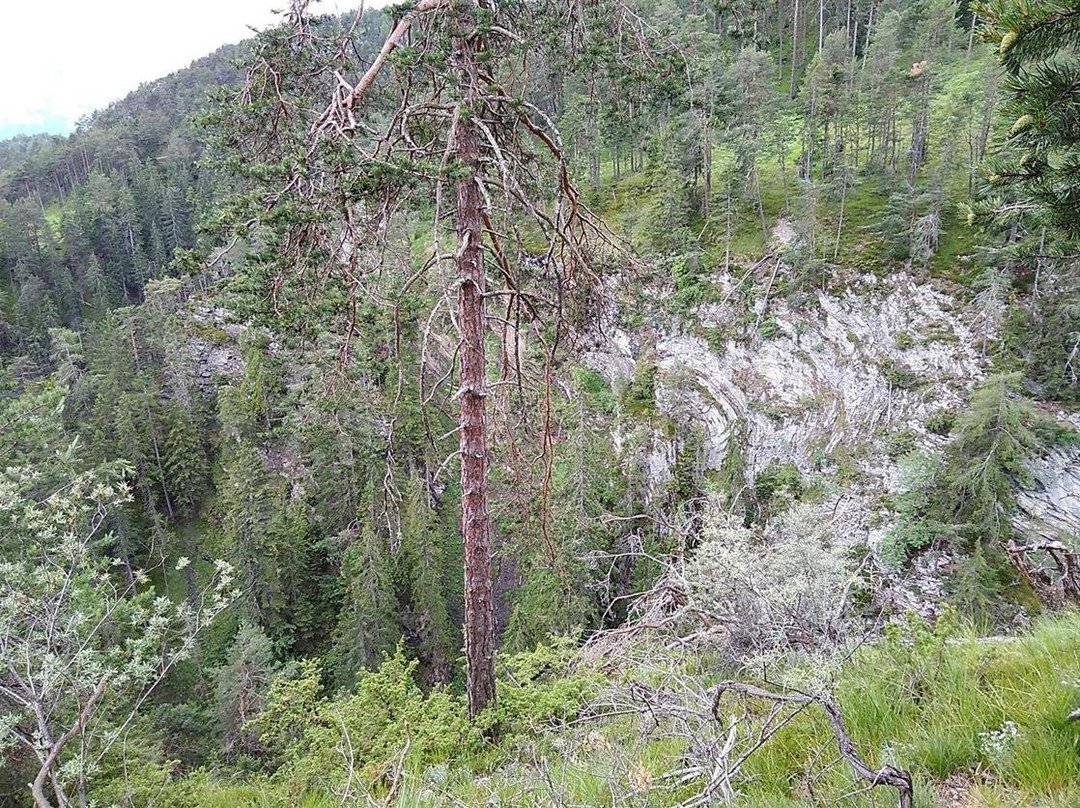 Salvesenklamm-Tarrenz必去景点