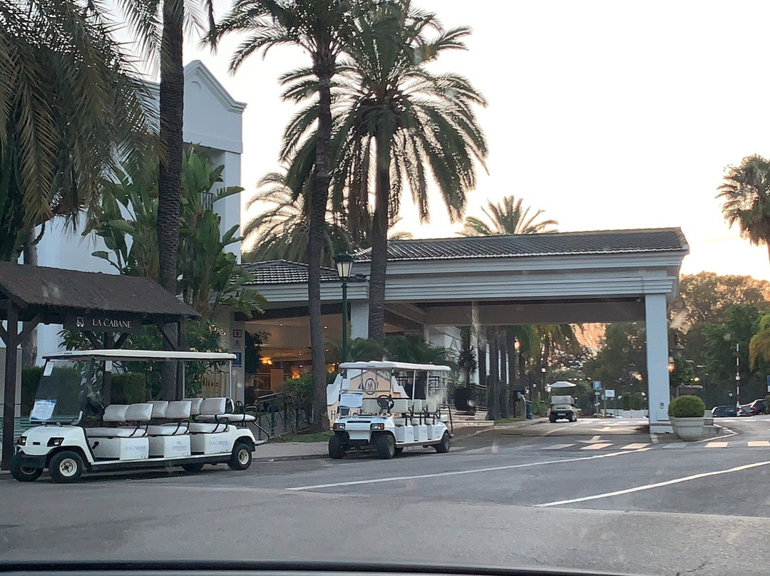 Hotel Los Monteros主图