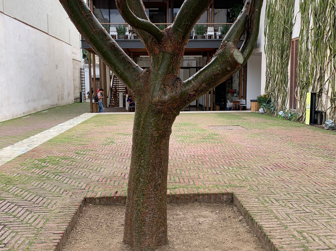 Centro Cultural San Pablo-瓦哈卡必去景点