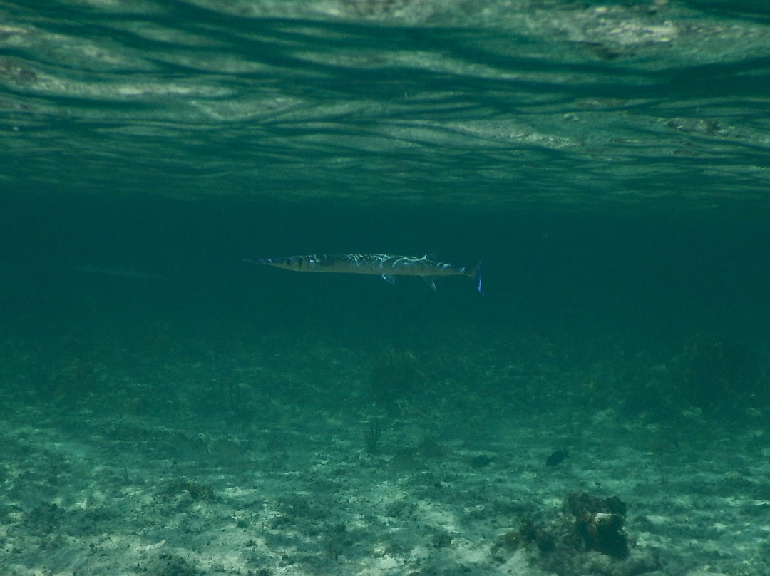 Paradise Cove Beach Resort主图