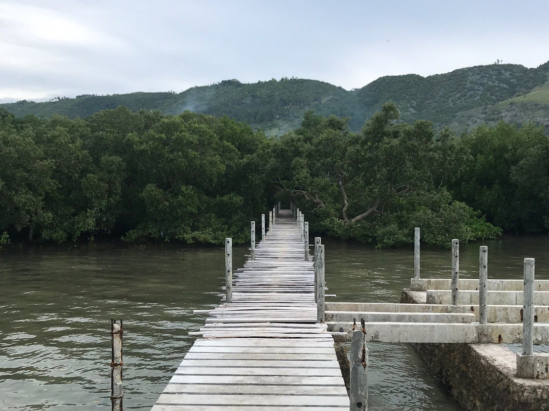 Mangrove Eco Resort主图