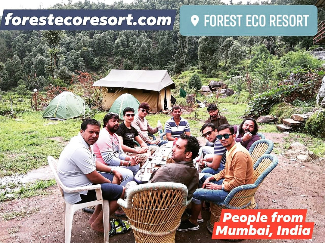 Forest Eco Resort