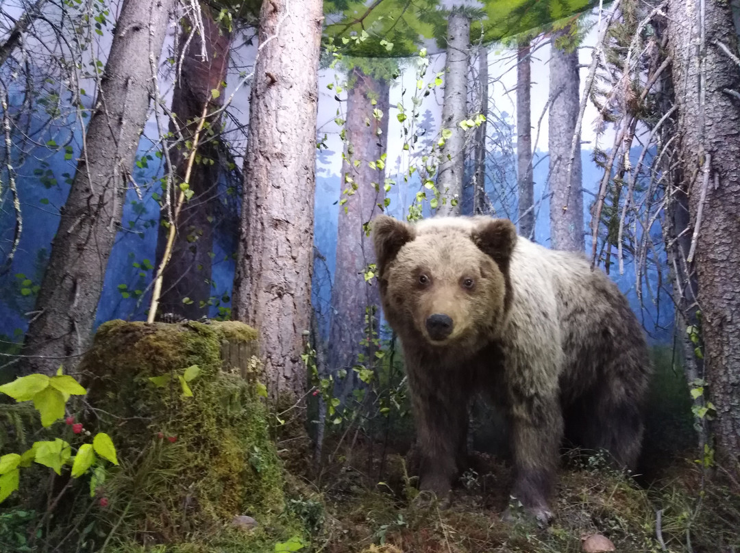 Severouralsk Local Lore Museum-Severouralsk必去景点