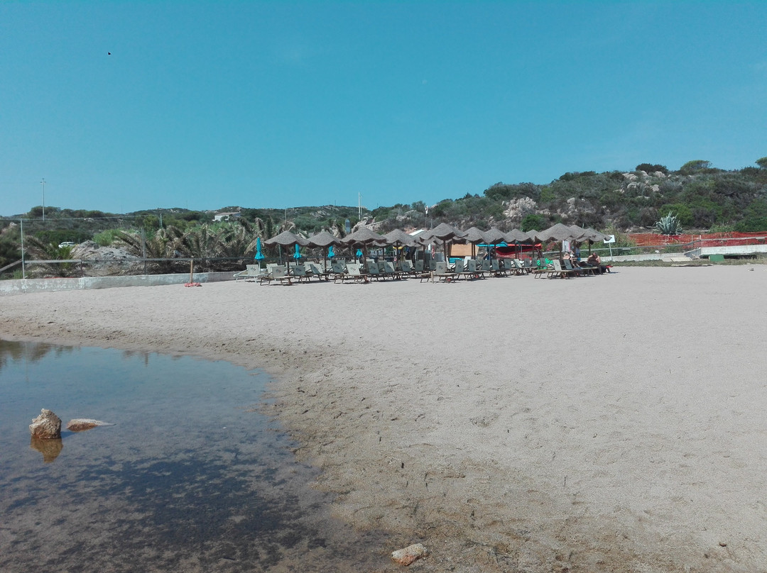 Spiaggia di Cala Spalmatore景点图片