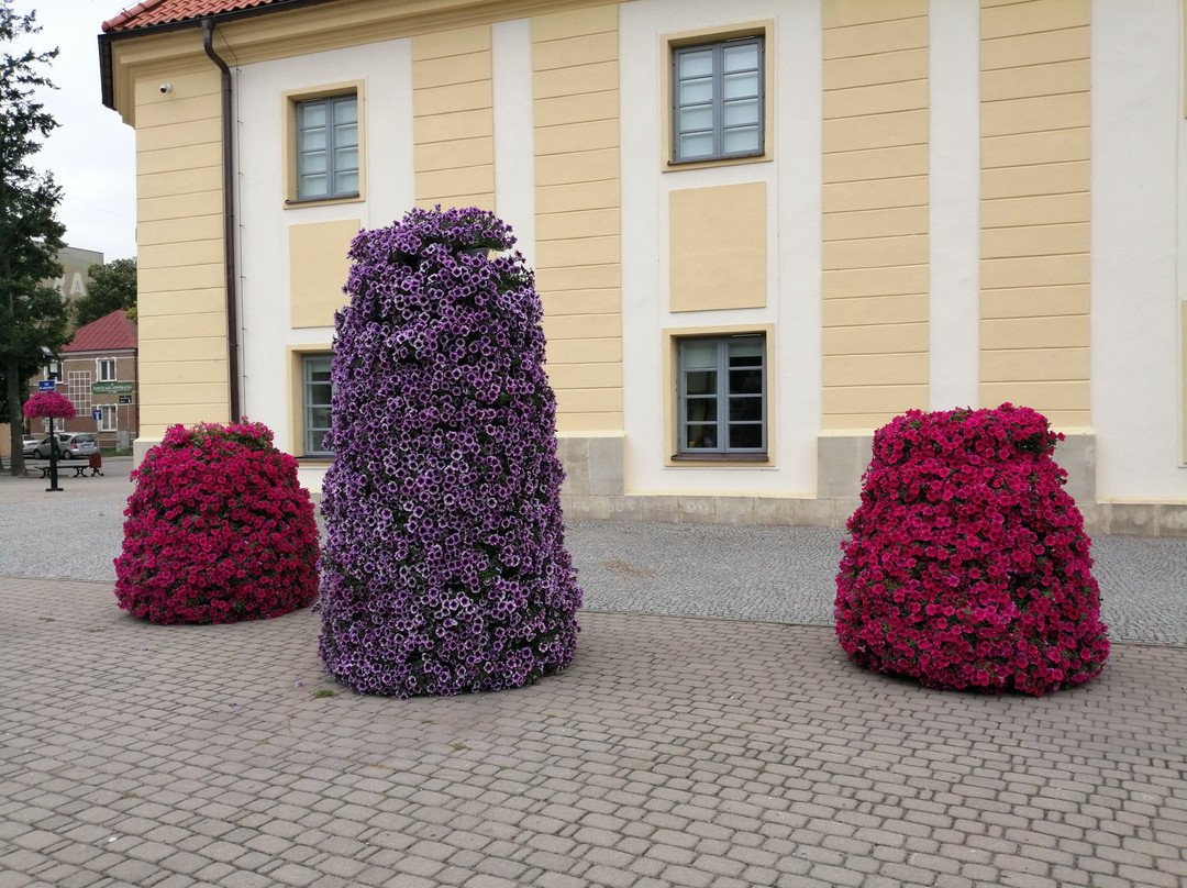 Museum in Bielsk Podlaski景点图片