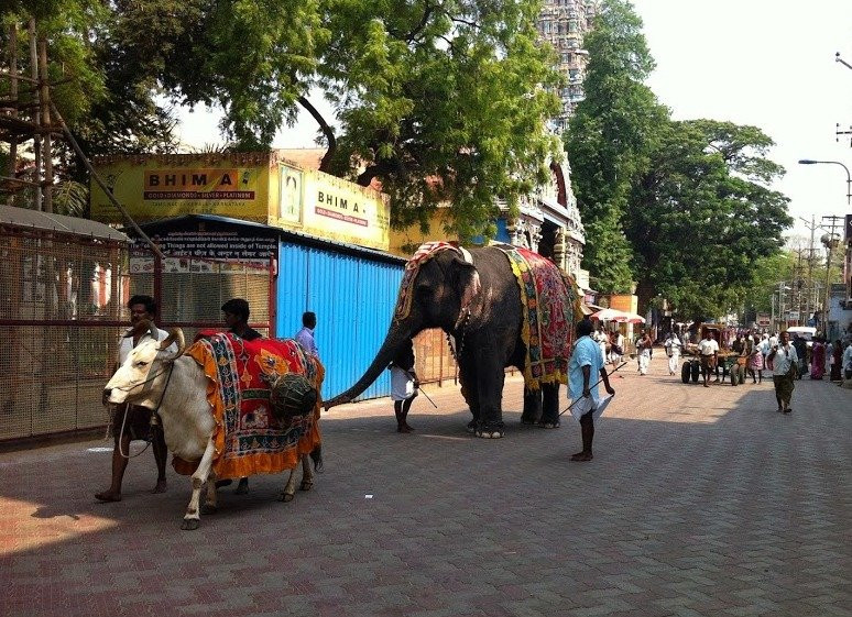 Storytrails Madurai景点图片