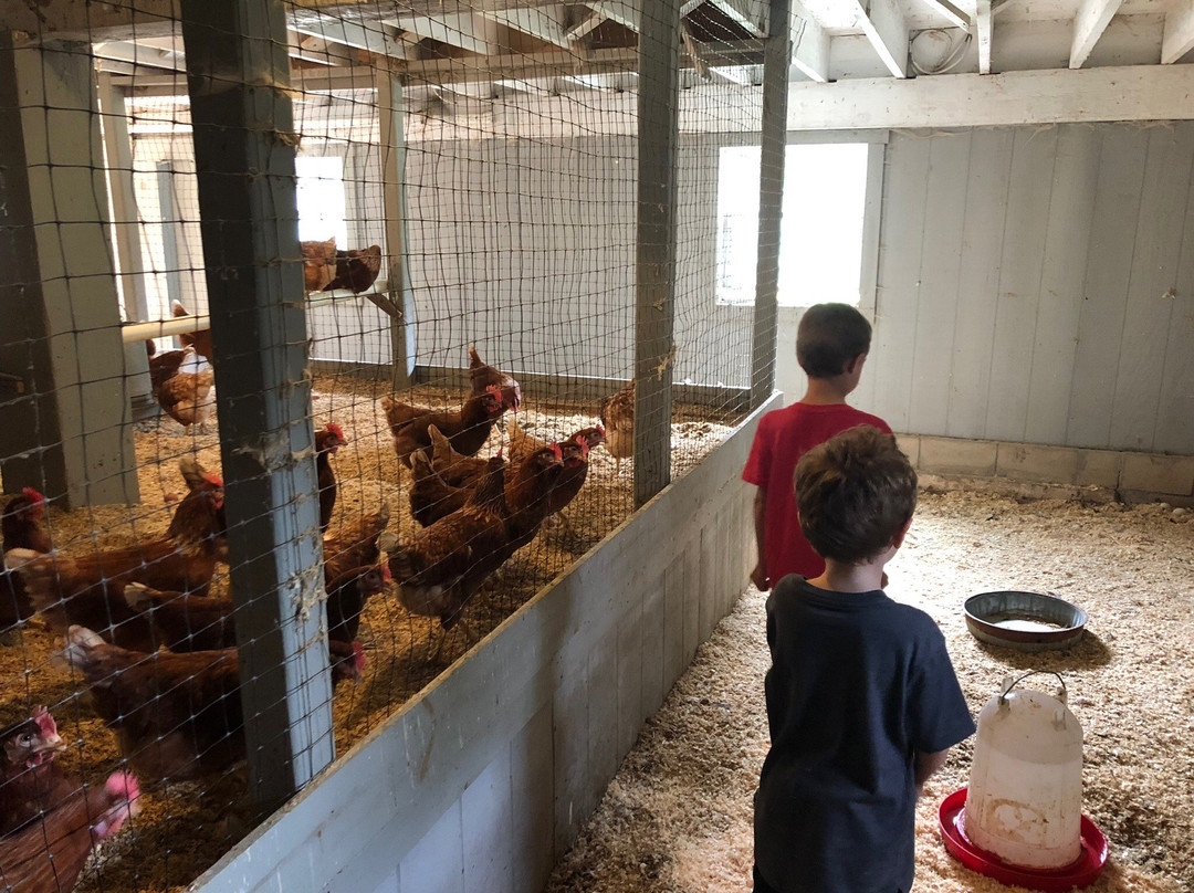 Friendly Farm-Dublin必去景点