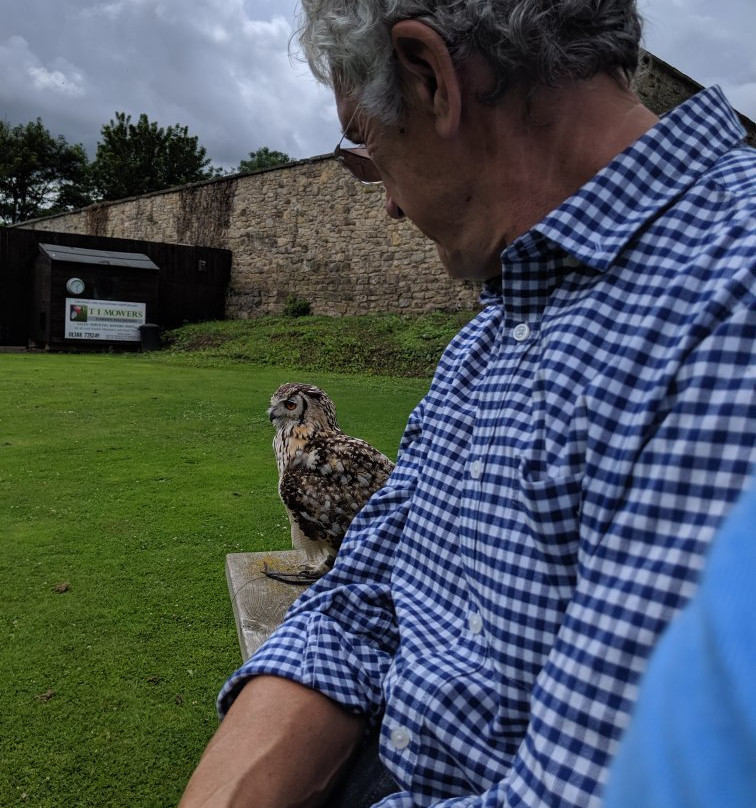 Walworth Birds of Prey-Walworth必去景点