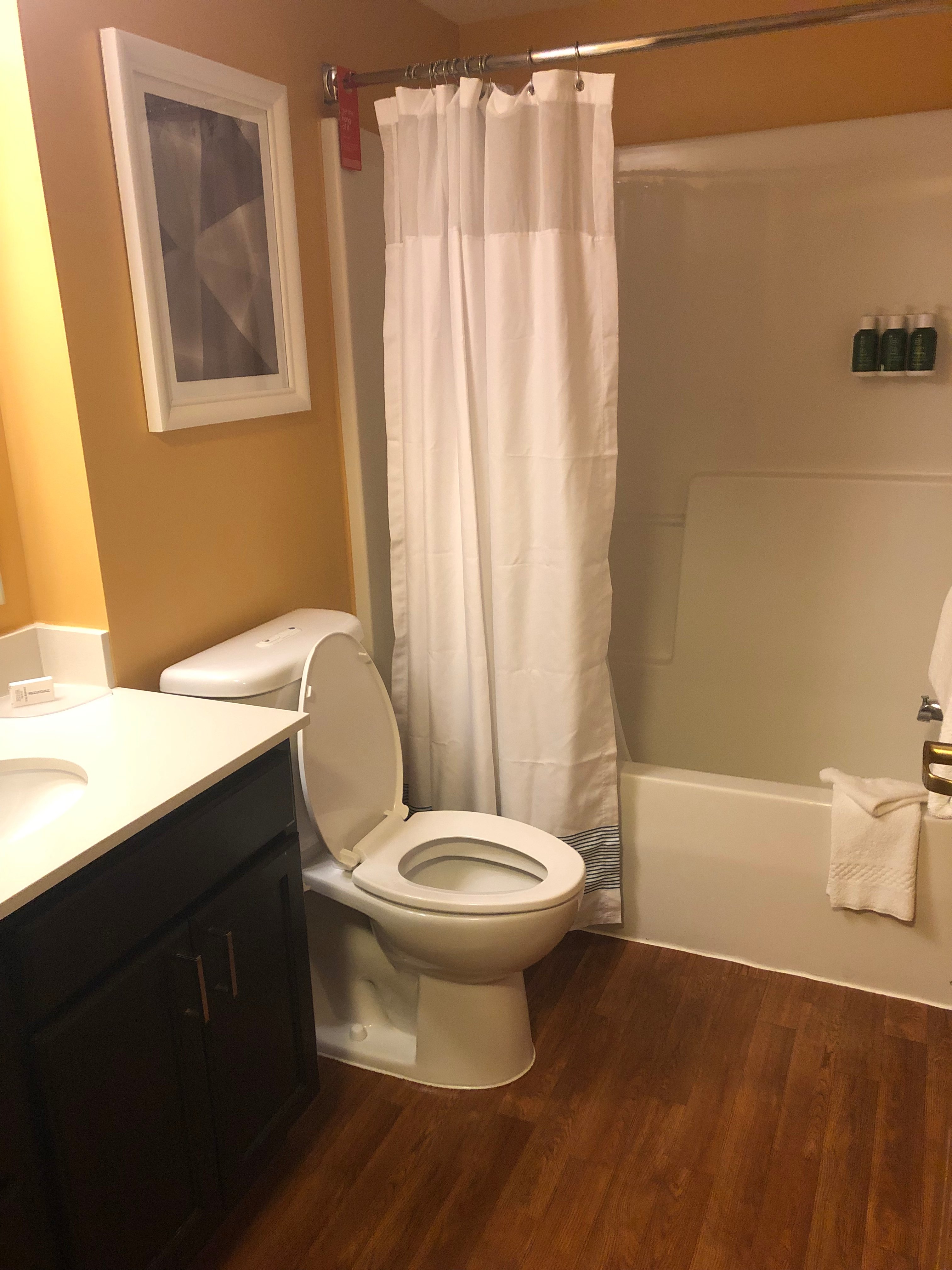 Sonesta Simply Suites Seattle Renton-浴室