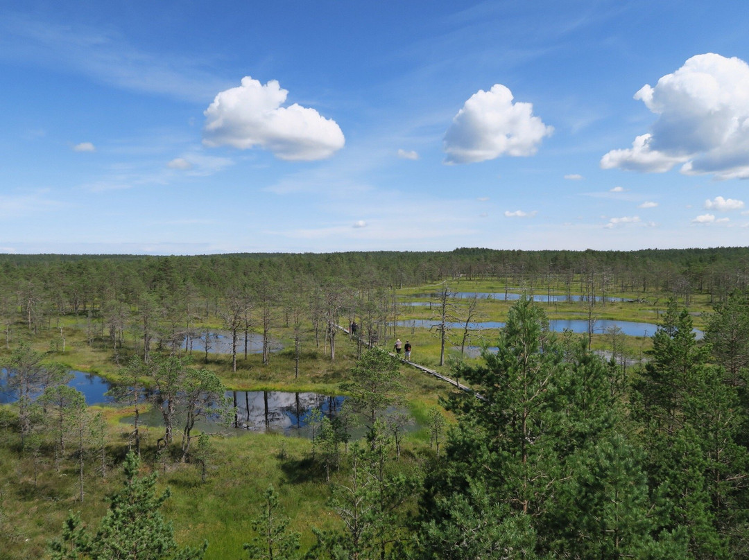 Lahemaa National Park景点图片