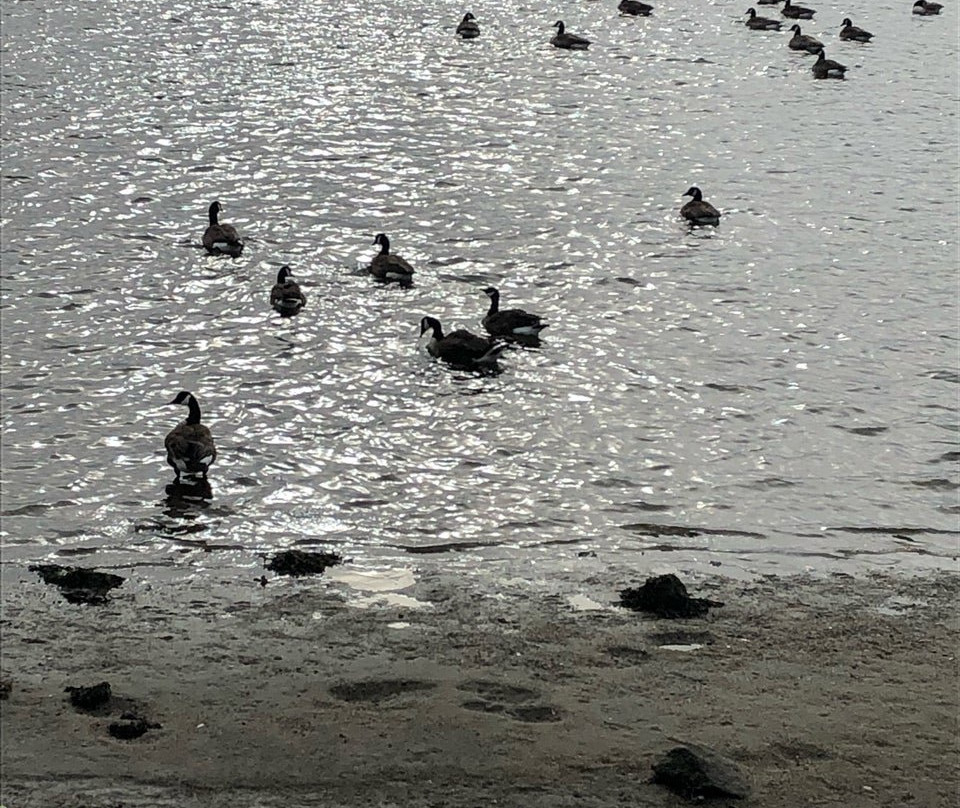 Nanaquaket Bridge-Tiverton必去景点