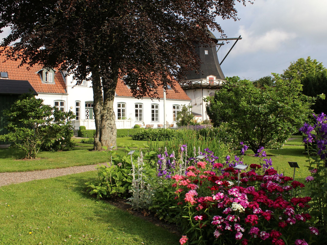 Museum Sønderjylland - Højer Mill-Hoejer必去景点