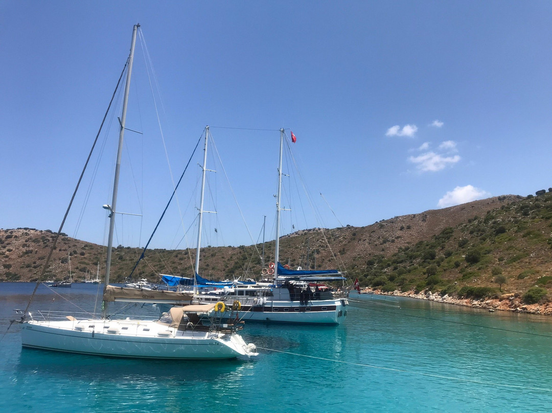 Selimiye Tekne Turu Safak Bey-1景点图片