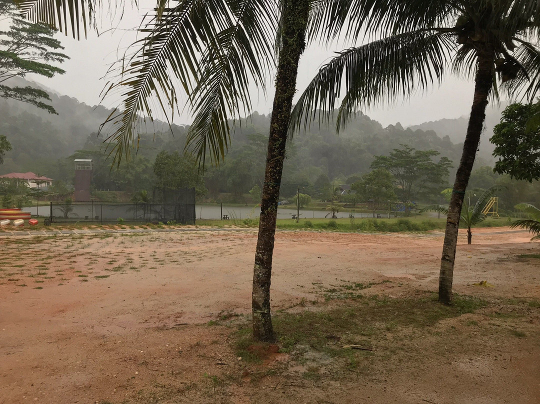 Kota Rainforest Resort主图