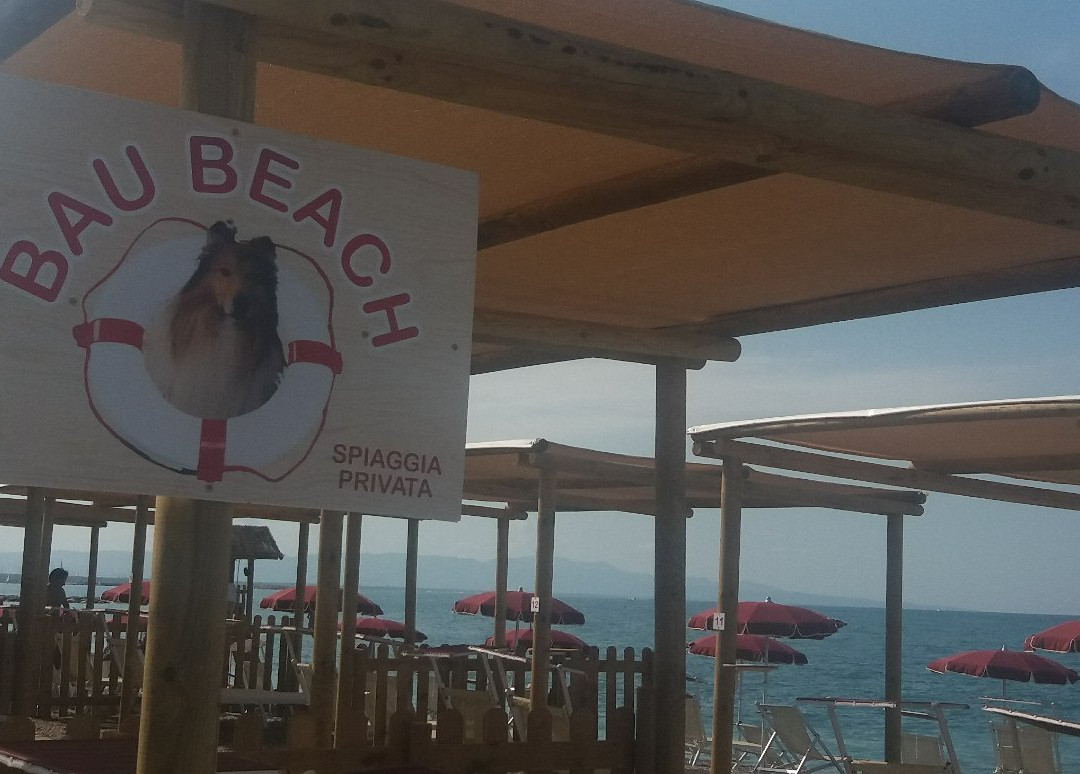 Bau Beach - Spiaggia per Cani景点图片