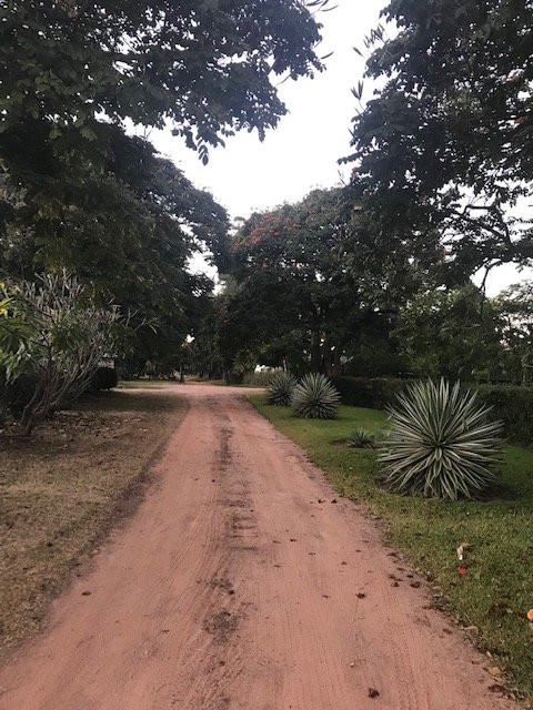 Loza Guesthouse主图