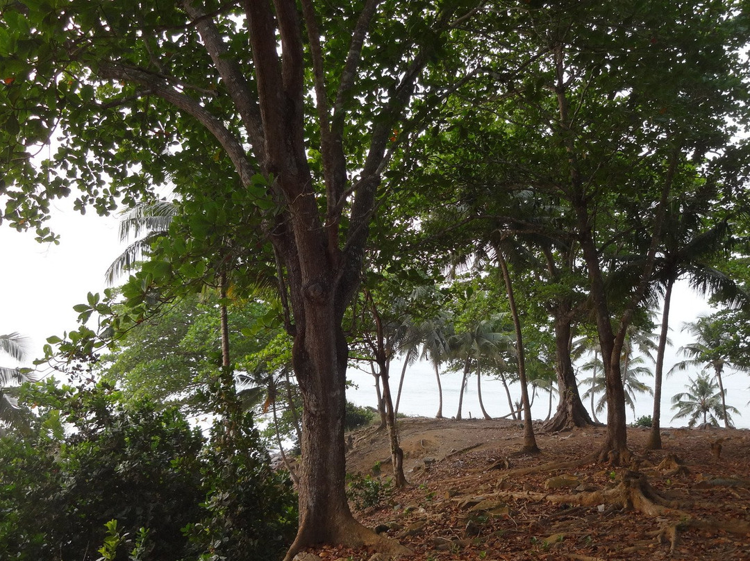 Cape Three Points-Akwidaa必去景点