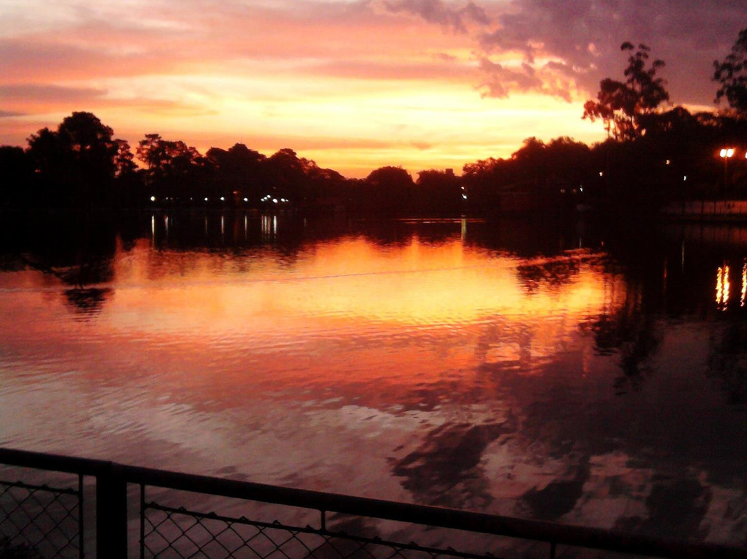 Parque Municipal Fabio da Silva Prado景点图片