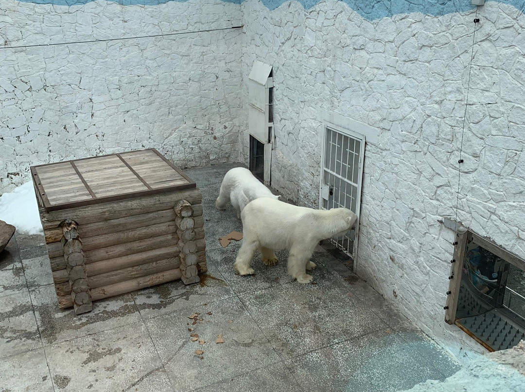 Chelyabinsk Zoo-车里雅宾斯克必去景点