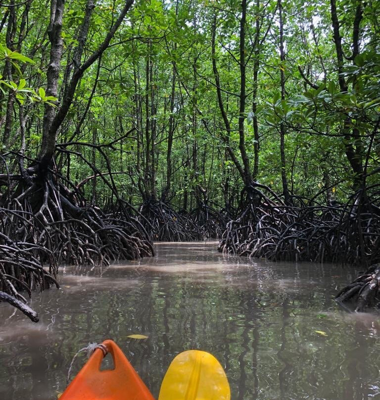 Langkawi Kayaking Adventure-兰卡威必去景点