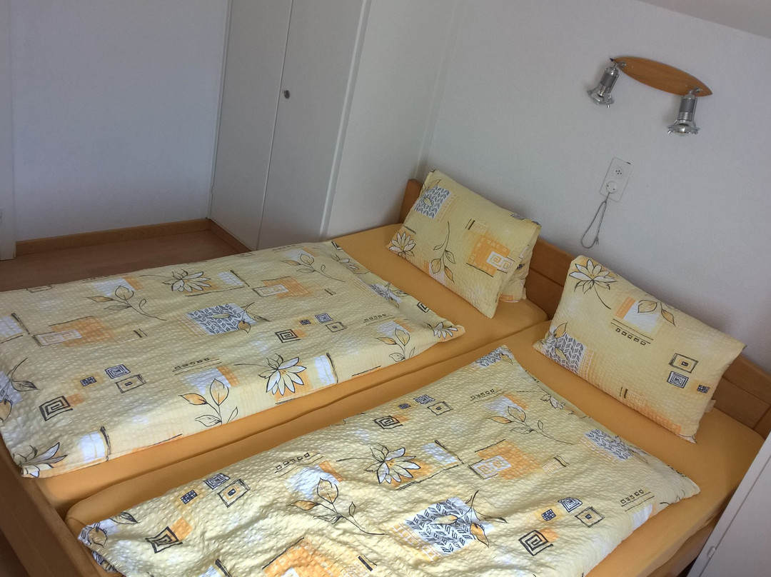 Hotel Sörenberg主图