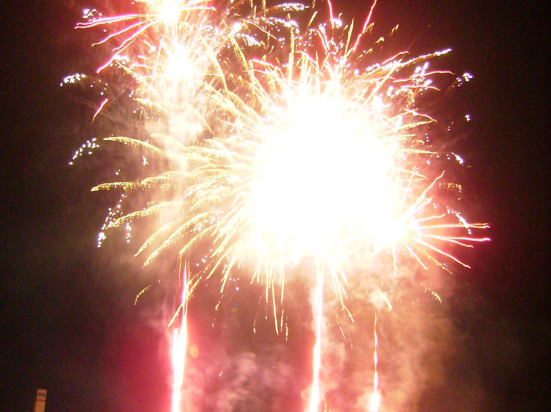 Tajimi City Fireworks-多治见市必去景点